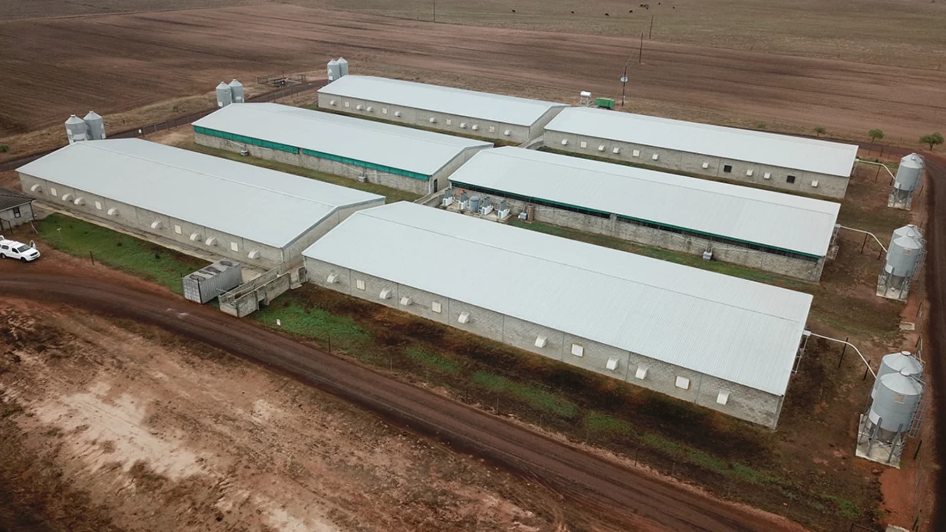 Hot-dip galvanized roof trusses engineered for a pig farm steel structure