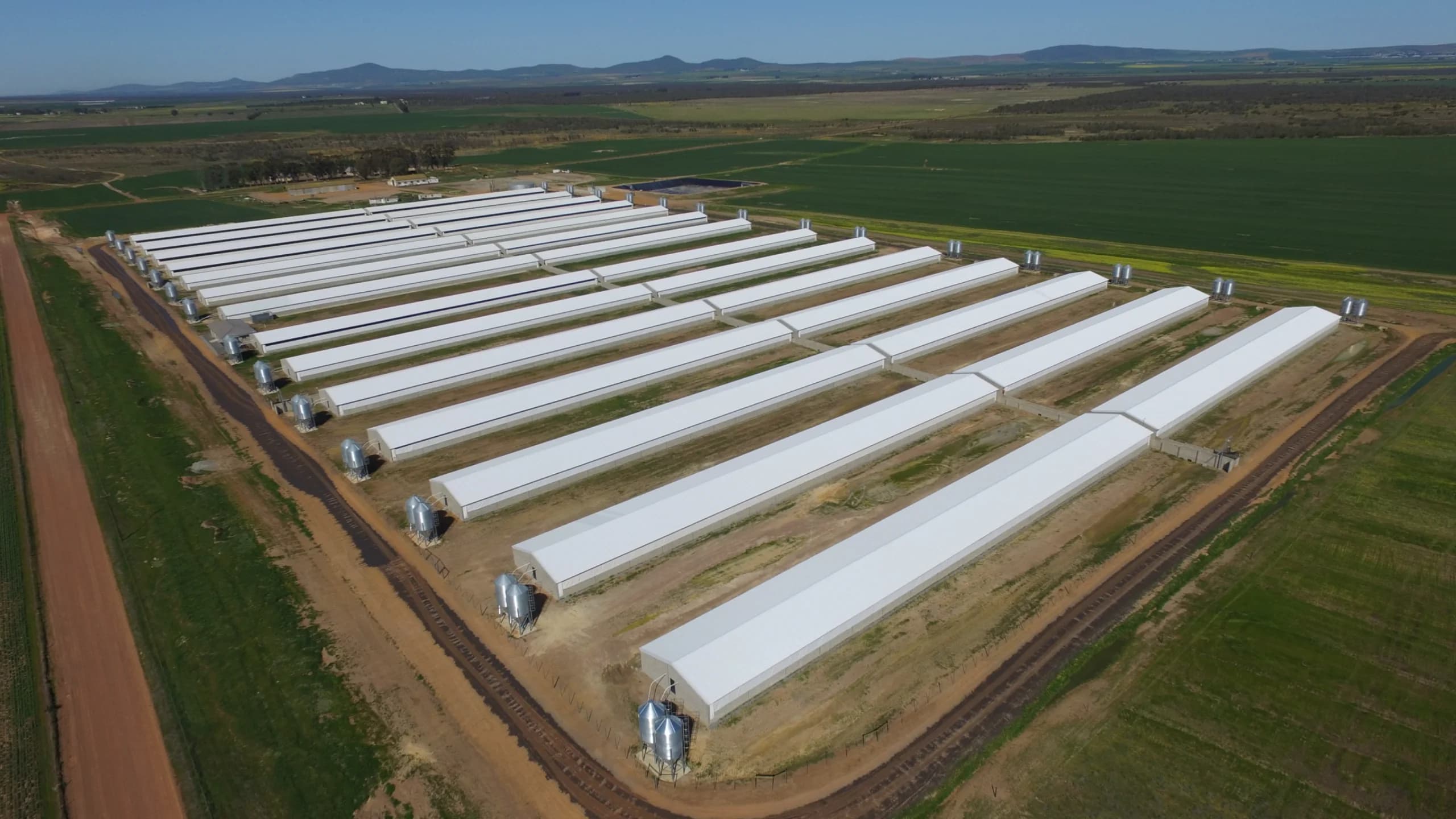 LEMCO pig farm steel structure for Number Two Piggeries, Western Cape