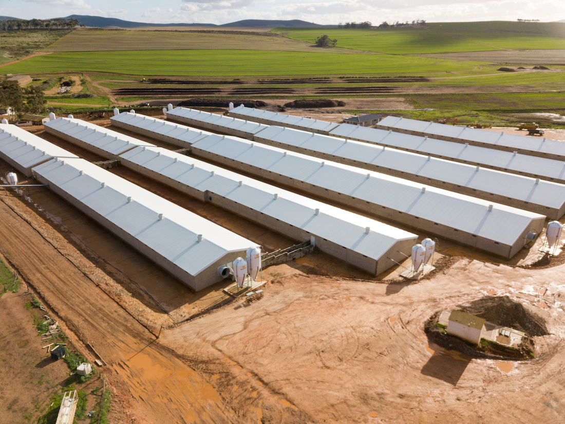 Agricultural Steel Structures Alexanderhoek Boerdery Pig Housing