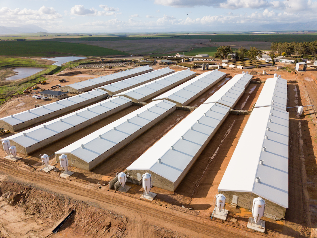 Agricultural Steel Structures Alexanderhoek Boerdery Pig Housing